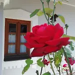 Aracsi Vendeghaz