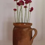 Aracsi Vendeghaz 4*