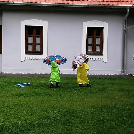 Pensjonat Aracsi Vendeghaz 4*