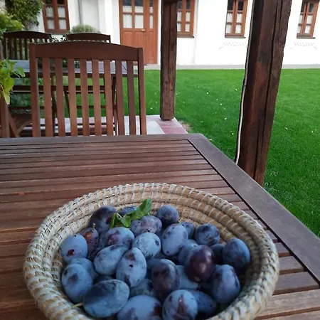 Aracsi Vendeghaz Guest house