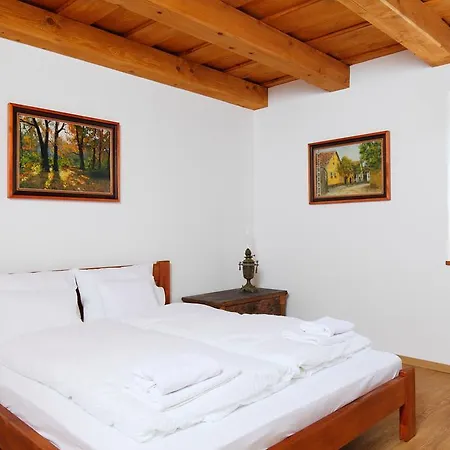 Pensjonat Aracsi Vendeghaz 4*