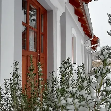 Aracsi Vendeghaz 블로톤퓌레드