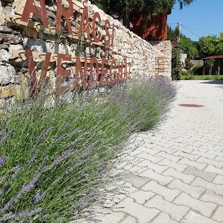 Aracsi Vendeghaz Pensjonat