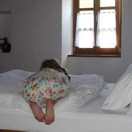 Aracsi Vendeghaz Pensjonat 4*