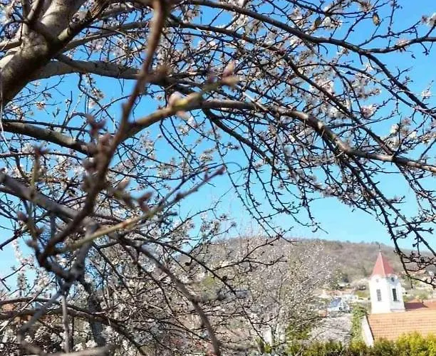 Arácsi Maison d'hôtes Balatonfüred