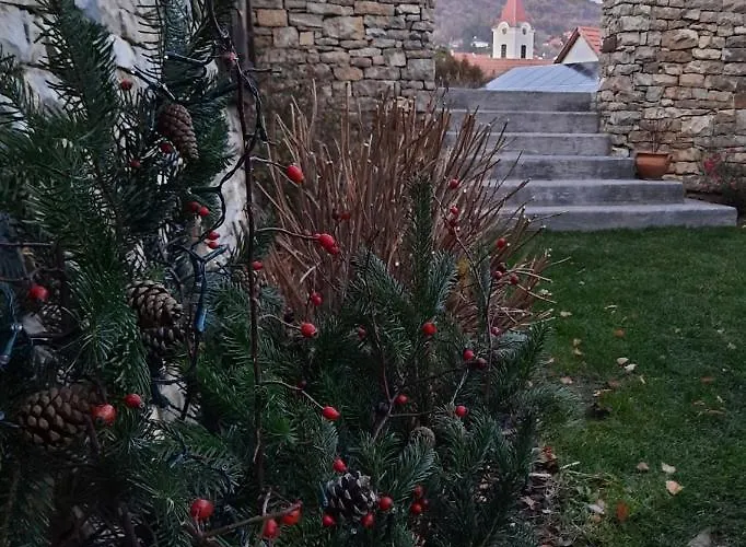 Arácsi 4* Balatonfüred