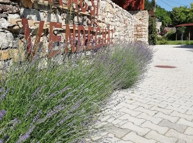 Arácsi Maison d'hôtes