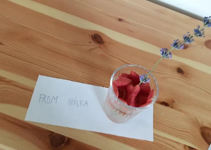 Arácsi Balatonfüred