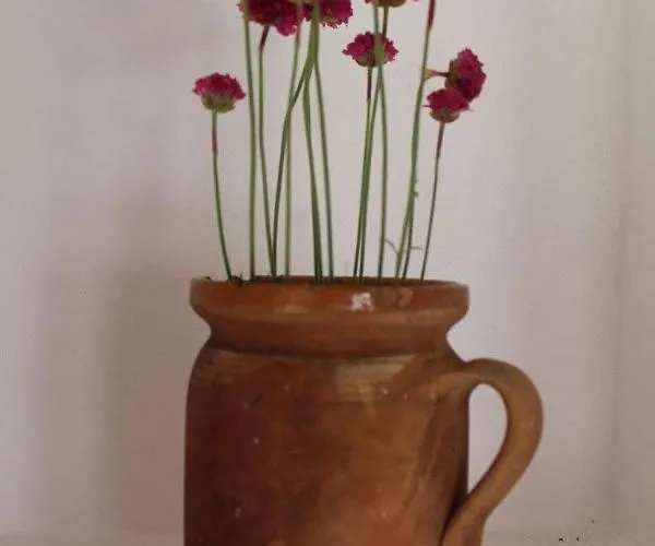 Aracsi Vendeghaz 4*